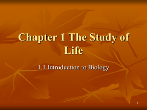 Chapter 1 Biology: The Study of Life