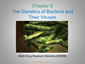 Chapter 8 The Genetics of Bacteria and Their Viruses
