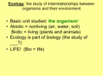 Ecology: the study of interrelationships between organisms and their