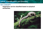 Unit 6: Classification and Diversity