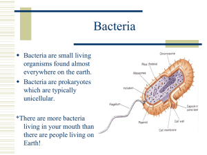 Microbiology : Unit #2 : Bacteria