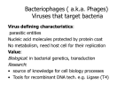 Virus defining characteristics