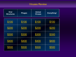 Virus Jeopardy Game