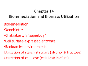 Bioremediation and Biomass Utilization