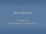 Skin Infections - Derby GP Specialty Training Programme
