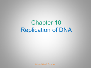 DNA Polymerase I