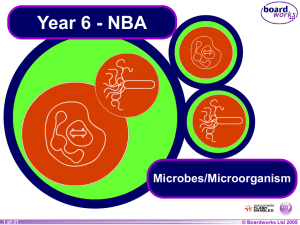 Micro-organisms PPT