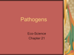 Pathogens - Perry Local Schools