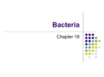 Bacteria - Legacy High School