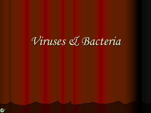 Viruses & Bacteria