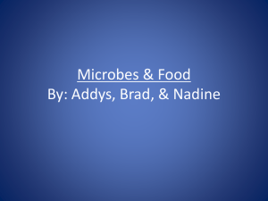 Microbes and Food