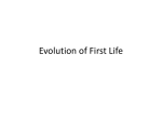 Evolution of First Life