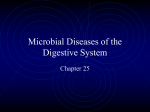 Microbial Diseases of the Digestive System