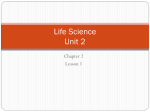 Life Science Unit 2 - secondary