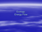 Ecology/energy