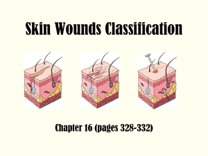 Skin Wounds Classification