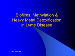 Biofilms, Methylation & Heavy Metal Detoxification in
