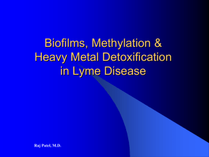 Biofilms, Methylation & Heavy Metal Detoxification in