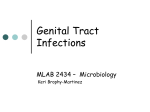 Chapter 16 - Enterobacteriaceae