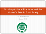 Good Agricultural Practices and the Worker`s Role in