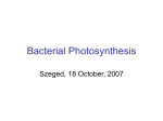 Bacterial Photosynthesis