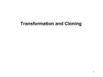 Transformation and Cloning