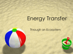 Energy Transfer