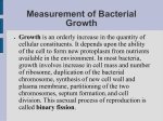 Lab 18 – growth curve