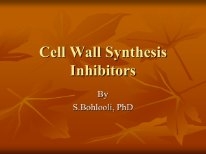 Cell Wall Synthesis Inhibitors