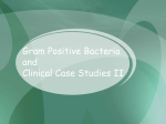 Gram Positive Bacteria Clinical Case Studies II
