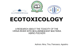 ecotoxicology - Isis Tassinari
