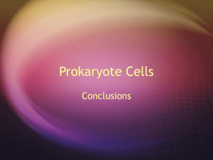 Prokaryote Cells – Part 2,week 2