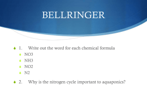 Nitrogen Cycle - Ms Kim`s Biology Class