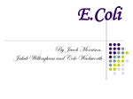 E.Coli - ECGCFriday