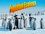 population-ecology-intro