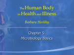 The Human Body in Health and Illness