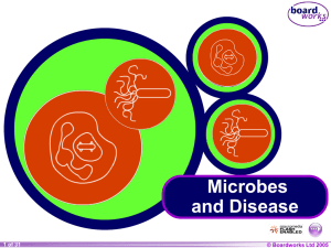 8C Microbes and Disease