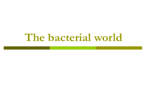 The bacterial world