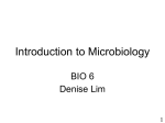intro to microbiology