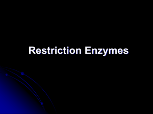 Restriction Enzymes