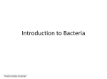 Introduction to Bacteria