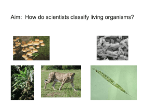 Aim: How do scientists classify living organisms?