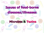 Issues of food borne diseases/illnesses, toxicity