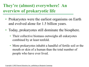 Prokaryote PowerPoint