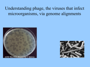 Understanding phage, the viruses that infect