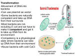 Cloning and selection