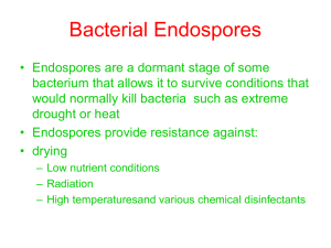 Exercise 14: Bacterial Endospores