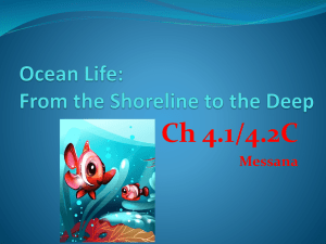 4.1 & 4.2C Ocean Life PPt