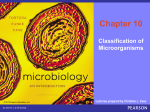 micro chapter 10 ppt. 11th edition