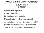 Recombinant DNA Techniques Laboratory Bi 431/531